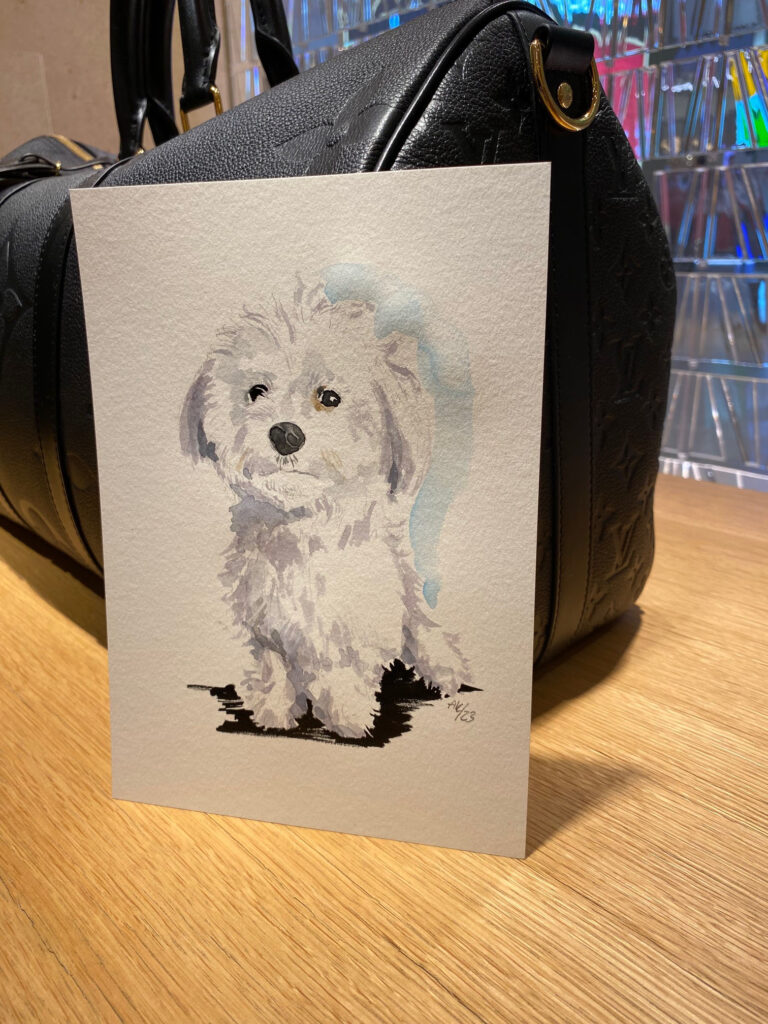 Porträt von Hund für Louis Vuitton